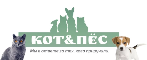 CAT AND DOG - pet store