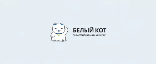 White Cat - aggregator of cleaning services