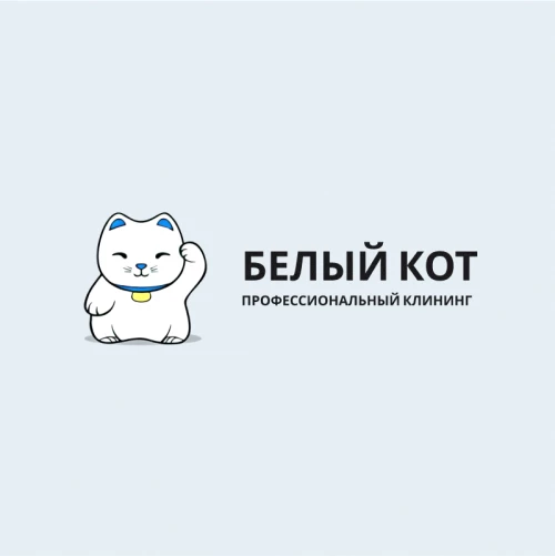 White Cat - aggregator of cleaning services